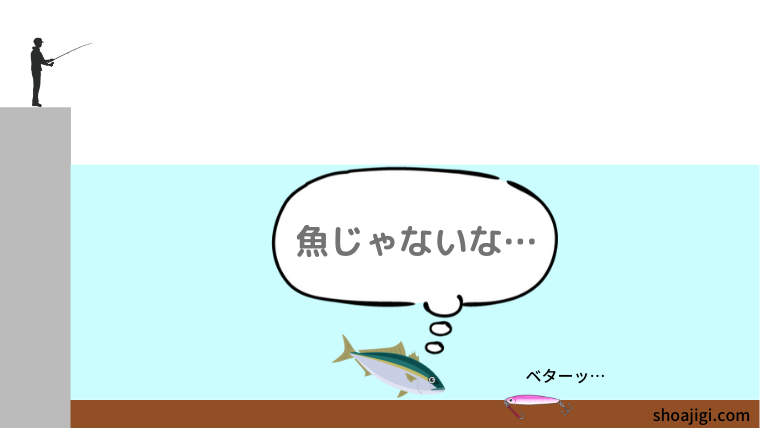 ボトムにジグを放置していると魚に見切られる…