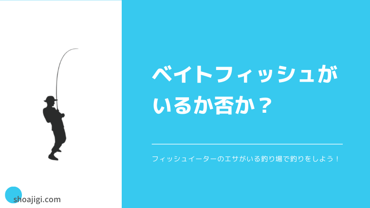 ベイトフィッシュがいる釣り場で釣りをする