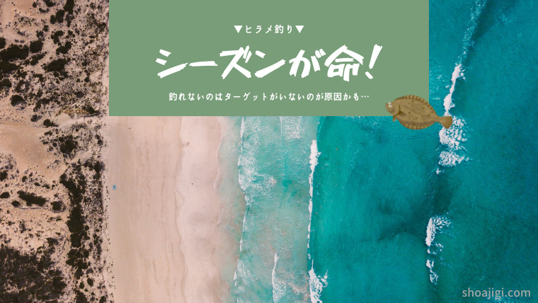 超絶シンプル ヒラメをメタルジグで釣るアクション 2選 ショアジギドットコム