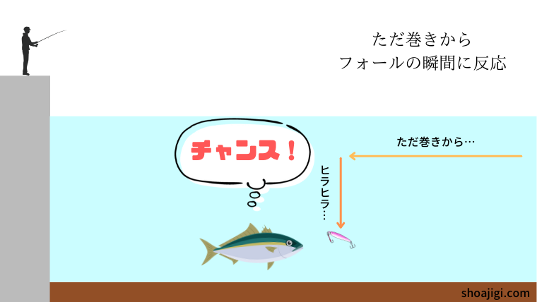 魚が食いつく瞬間②