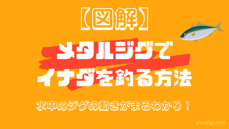 【完全初心者】イナダを釣る方法