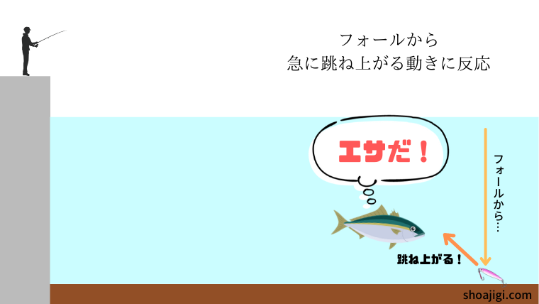 魚が食いつく瞬間①