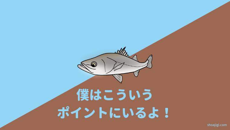 シーバスが釣れやすいポイントとは?
