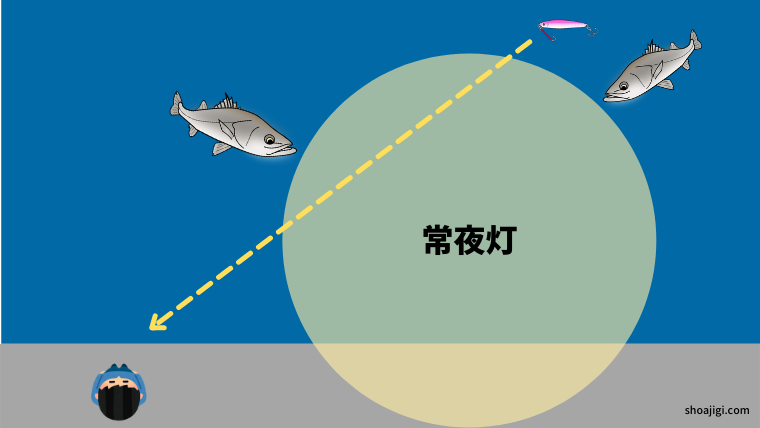 【シーバス】明暗の境目にルアーを通す