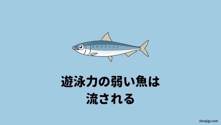 岸際にチャンスあり!