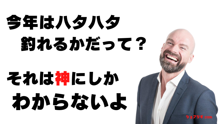 ハタハタ釣りの釣果